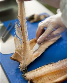 Arc-en-Ciel Trout Farm - Accommodation Broadbeach 2