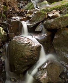 Arc-en-Ciel Trout Farm - Accommodation Broadbeach 1
