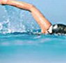 Andrew Boy Charlton Pool - Accommodation Broadbeach