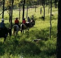 Hunter Valley Horse Riding and Adventures - Accommodation Broadbeach