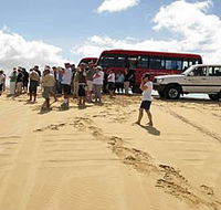 Port Stephens 4WD Tours - Accommodation Broadbeach