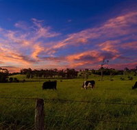 Made in Macarthur Food and Wine Tours - Accommodation Broadbeach