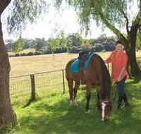 Sugarloaf Horse Centre - Accommodation Broadbeach