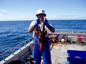 Lacepede Seafood - Accommodation Broadbeach 2