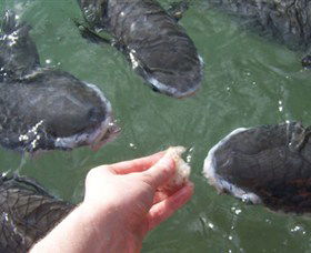 Aquascene - Accommodation Broadbeach 1