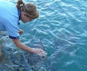 Aquascene - Accommodation Broadbeach 2