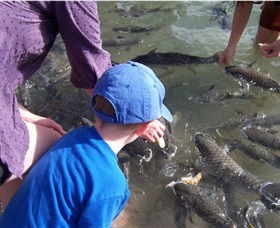 Aquascene - Accommodation Broadbeach 0