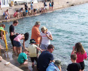 Aquascene - Accommodation Broadbeach 3