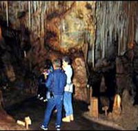 Tantanoola Caves Conservation Park - Accommodation Broadbeach