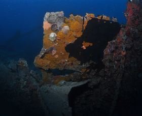 Lady Bowen Dive Site - Accommodation Broadbeach 0