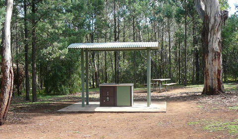 Jacks Creek Walking Track - Accommodation Broadbeach 1