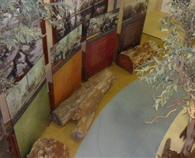 Barmah Forest Heritage And Education Centre - Accommodation Broadbeach 4