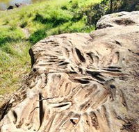 Terramungamine Rock Grooves - Accommodation Broadbeach