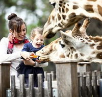 Taronga Western Plains Zoo Dubbo - Accommodation Broadbeach