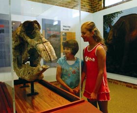 Australian Museum Diprotodon Exhibition - Accommodation Broadbeach 0