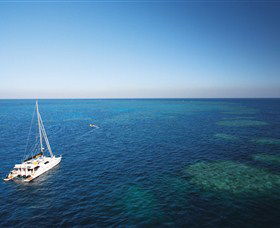 Bait Reef And Garys Lagoon Dive Site - Accommodation Broadbeach 0