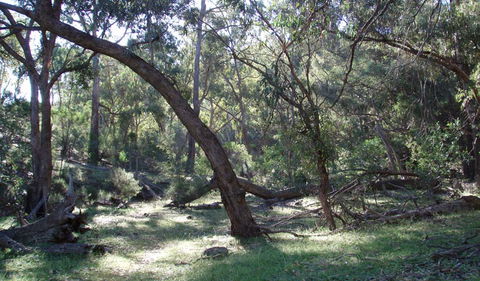 Mount Nangar Walking Track - Accommodation Broadbeach 1