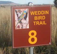 Weddin Bird Trails - Accommodation Broadbeach