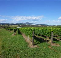 Hedberg Hill Wines - Accommodation Broadbeach