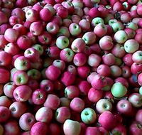 Hillside Orchard - Accommodation Broadbeach