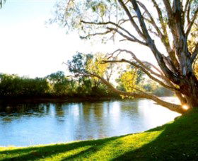 Albury - Murray River Precinct - Accommodation Broadbeach 0