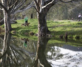 Albury - Murray River Precinct - Accommodation Broadbeach 3