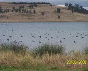 Lake Liddell Recreation Area - Accommodation Broadbeach 0