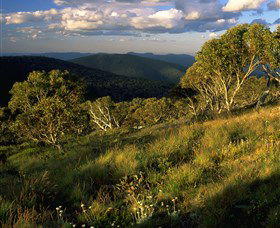 Namadgi National Park And Visitors Centre - Accommodation Broadbeach 2