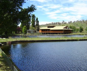 Gaden Trout Hatchery - Accommodation Broadbeach 0