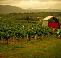 Around Hermitage Wine and Food Trail Hunter Valley - Accommodation Broadbeach