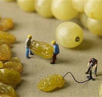 Hunter Valley Wine School - Accommodation Broadbeach