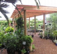 Country Elegance Gardens and Gifts - Accommodation Broadbeach