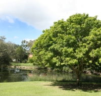 Hervey Bay Botanic Gardens - Accommodation Broadbeach