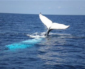 Booderee National Park: Cape St George Lighthouse - Accommodation Broadbeach 1