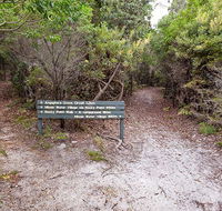 Angophora grove walking track - Accommodation Broadbeach