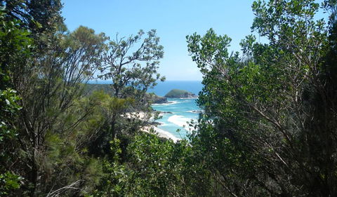 Jack Perkins Walking Track - Accommodation Broadbeach 1