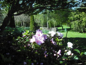 Annsleigh Gardens And Cafe - Accommodation Broadbeach 3