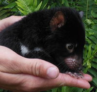 Crawn Motors - Accommodation Broadbeach