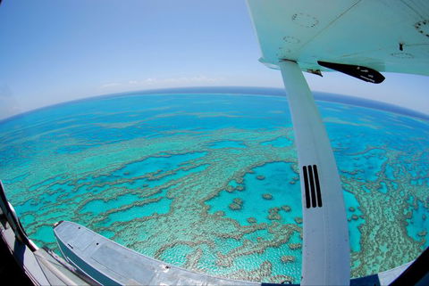 Air Whitsunday Seaplanes - Accommodation Broadbeach 1