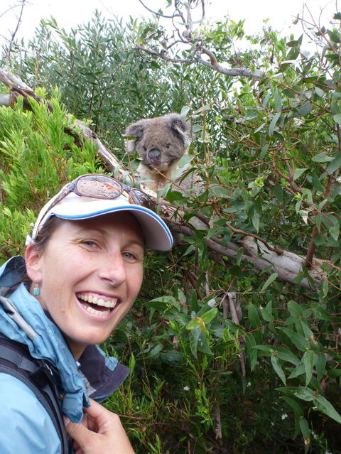 Auswalk Walking Holidays - Accommodation Broadbeach 4