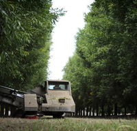 ODempseys Charters and Tours - Accommodation Broadbeach