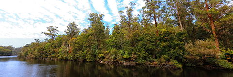 A R Reflections River Cruises - Accommodation Broadbeach 0