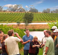 Yarra Valley Wine and Winery Tour from Melbourne - Accommodation Broadbeach