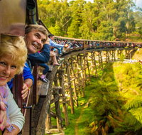 Puffing Billy Steam Train  Healesville Wildlife Sanctuary Tour From Melbourne - Accommodation Broadbeach
