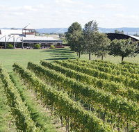 Puffing Billy Train and Yarra Valley Food and Wine Day Trip from Melbourne - Accommodation Broadbeach