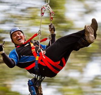 12 Apostles and Otway Fly Zipline Day Trip from Melbourne - Accommodation Broadbeach