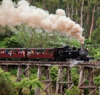 Melbourne Combo Great Ocean Road Puffing Billy Moonlit Sanctuary  Penguins - Accommodation Broadbeach