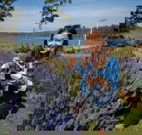 Port Arthur and Lavender Farm Active Day Tour - Accommodation Broadbeach