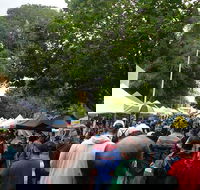 Hobart Half-Day Sightseeing Coach Tram Tour - Accommodation Broadbeach