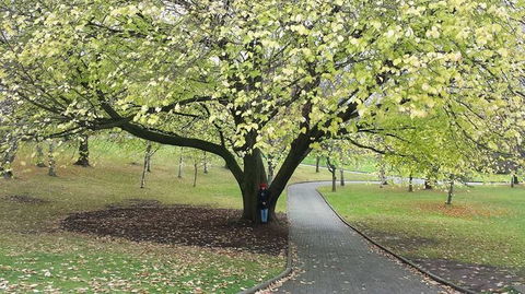 Hobart City Sightseeing Tour Including MONA Admission - Accommodation Broadbeach 3